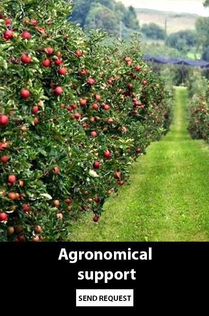 Agronomical assistance